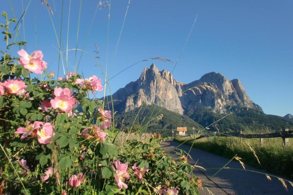 Hotel Viktoria Castelrotto Bagian luar foto
